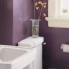 Окрашивание стен в ванной – стоит ли?